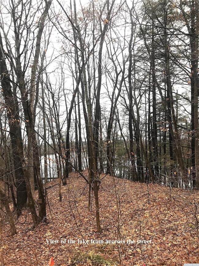 2 - L Sleepy Hollow Rd, Athens, NY 12015 - photo 6