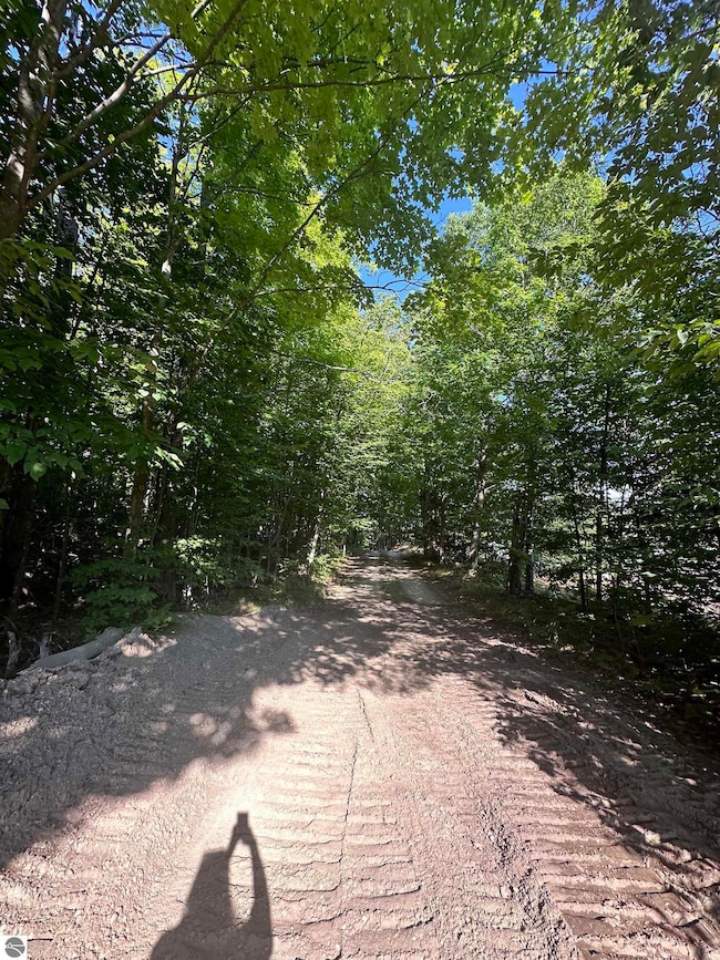 00 Hansel Strause Rd E, Custer Township, MI 49615 - photo 3