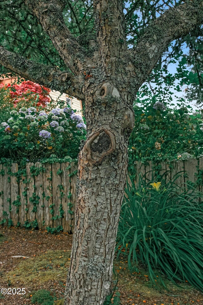 Unique Tree
