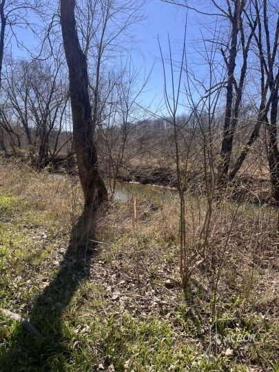 Creekside View