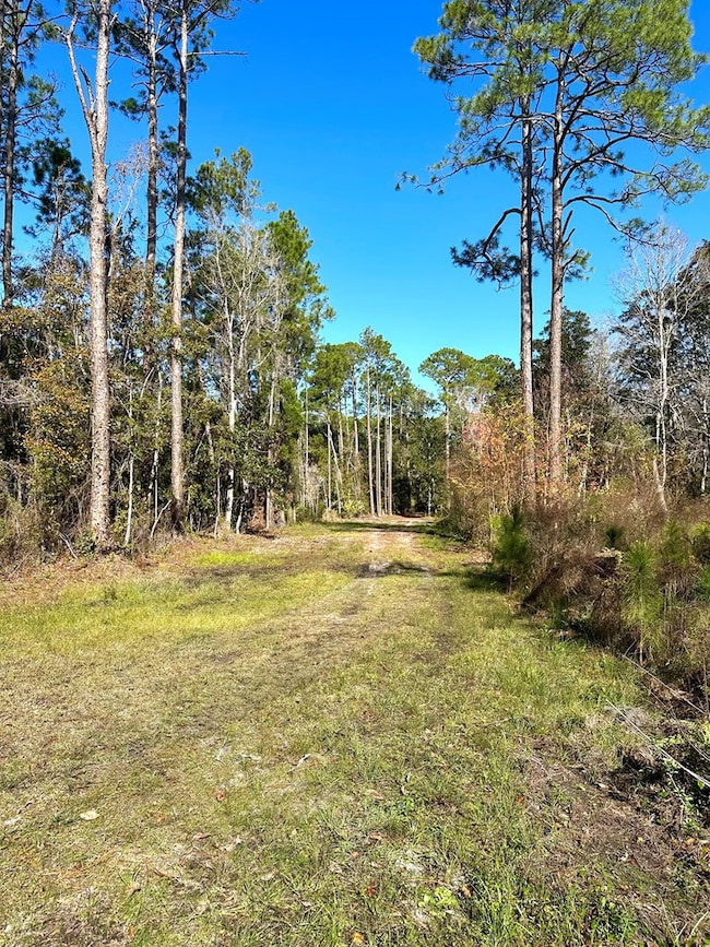 182 Smith Rd, Apalachicola, FL 32320 - photo 4