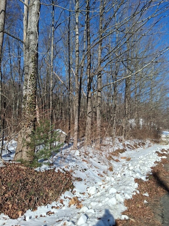 17 Maple St, Southampton, MA 01073 - photo 6