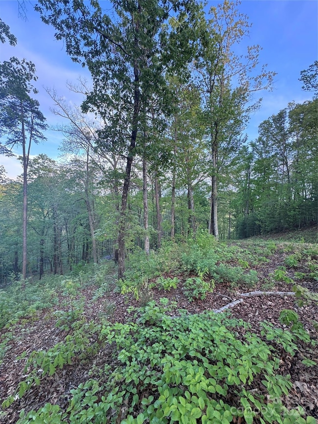 0 Willow Top Ln unit 315 CAR4131489, Lake Lure, NC 28746 - photo 4