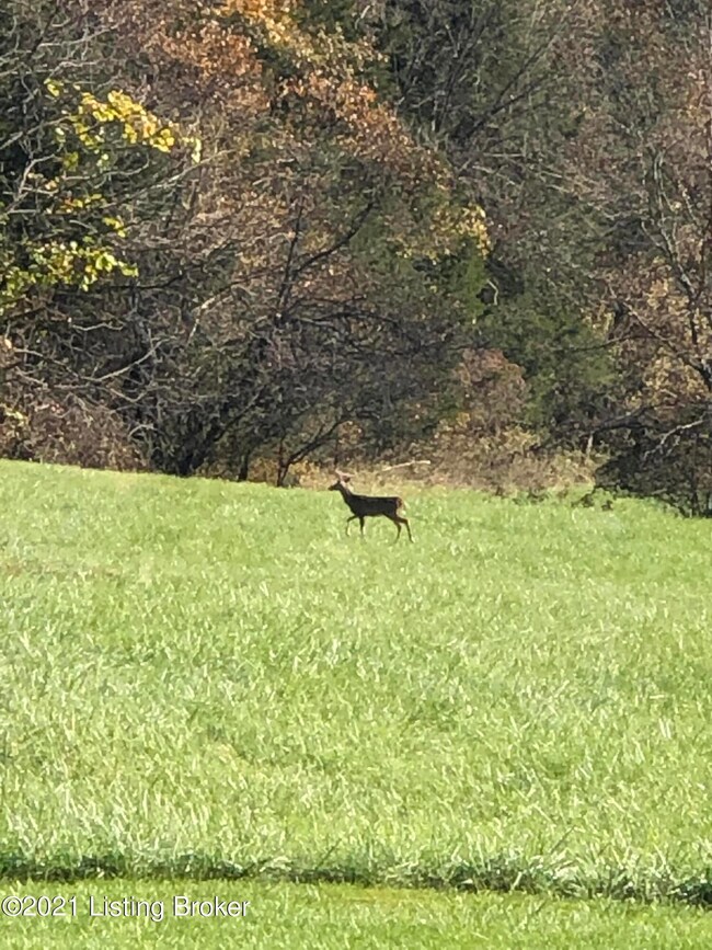 27C192BC-1242-4673-A09D-FB8651899DA0