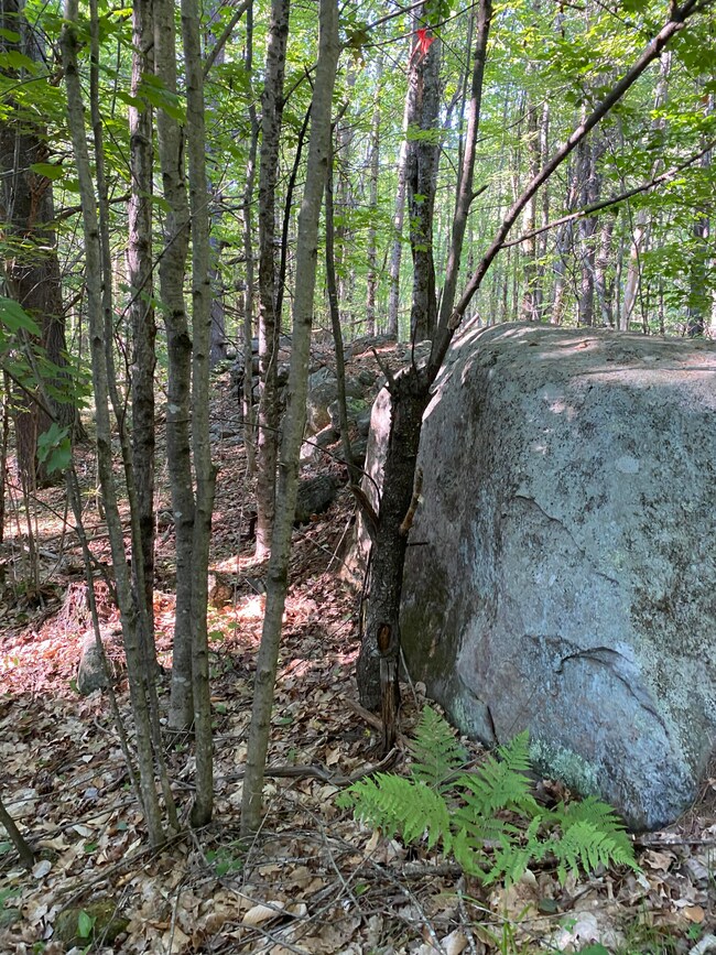 00 Stony Brook Dr, Limerick, ME 04048 - photo 2