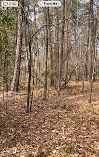 0 Leitner Mill Rd, Harlem, GA 30814 - photo 7