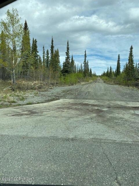 L11 B4 Woodlot Rd, Glennallen, AK 99588 - photo 5