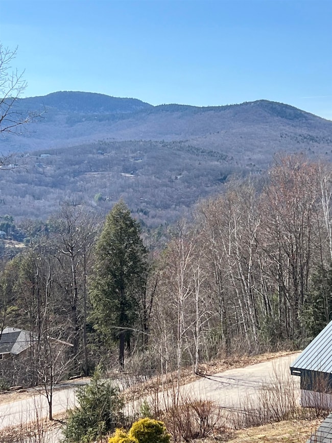 169 Mittenwald Strasse, Bartlett, NH 03812 - photo 3