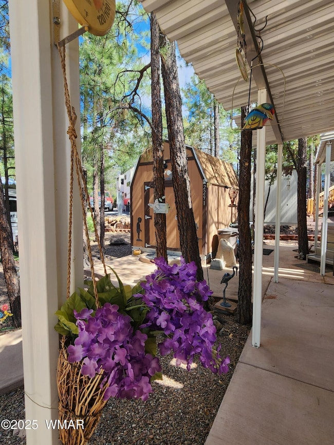 Storage Shed