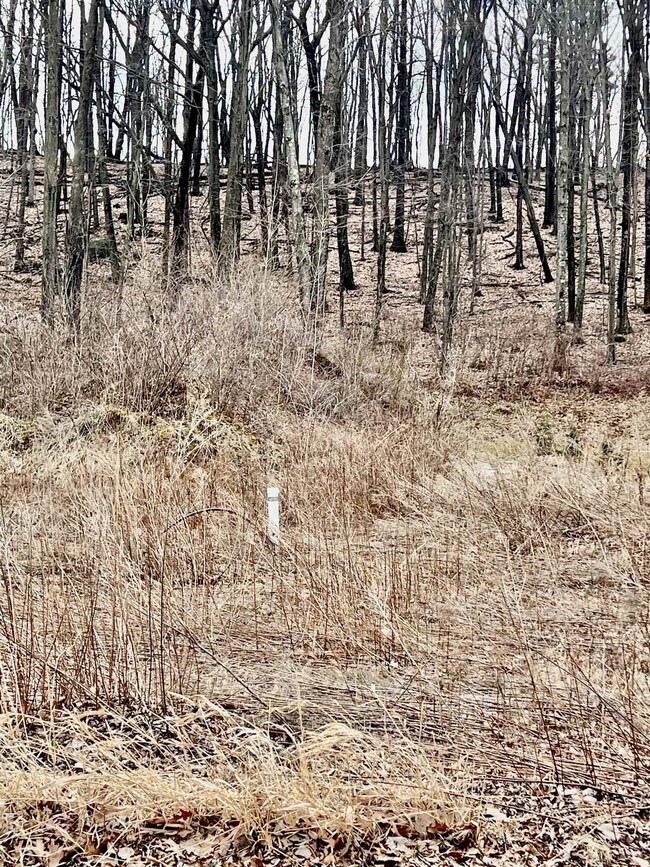 911 Buffalo Ridge Ln, Waupaca, WI 54981 - photo 3