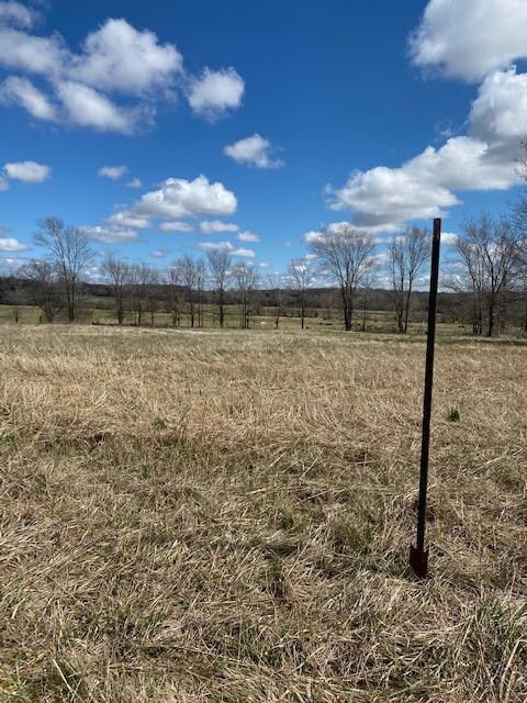 000 S 60th Rd, Fair Play, MO 65649 - photo 2