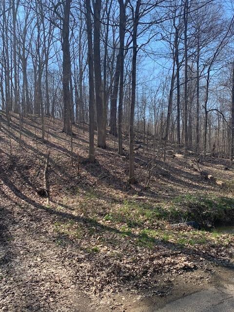 Lot99/100 Highland Hills Dr, Howard, OH 43028 - photo 2