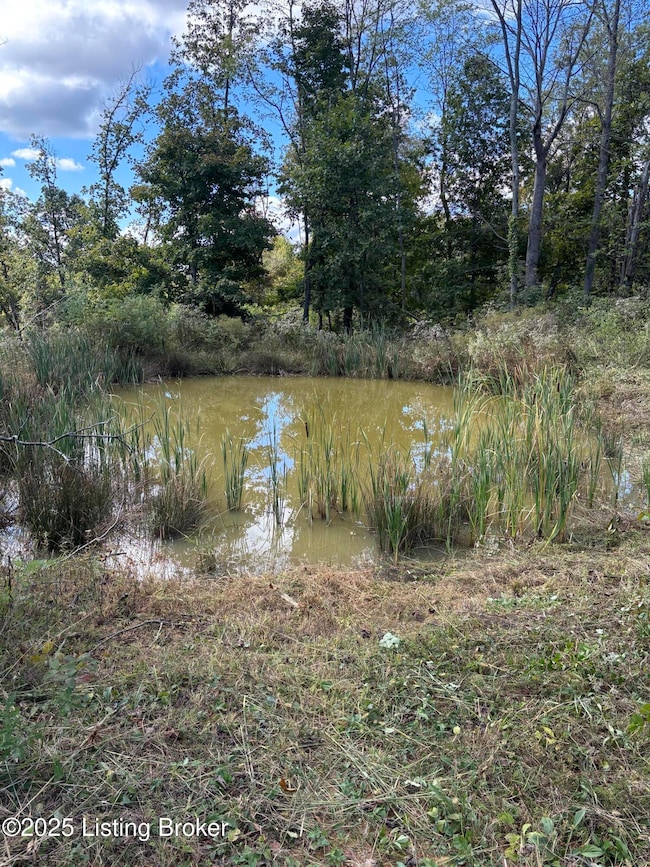 3352 Morton Ridge Rd unit Lot 1B, Bedford, KY 40006 - photo 4