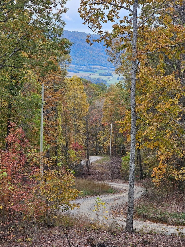 0 Overview Rd unit RTC3011844, Crossville, TN 38572 - photo 3