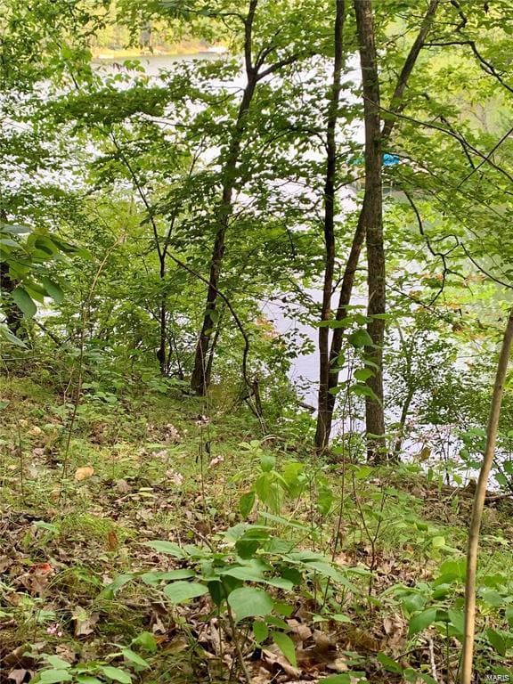 288 Sequoyan Ct, Clay Township, MO 63435 - photo 3