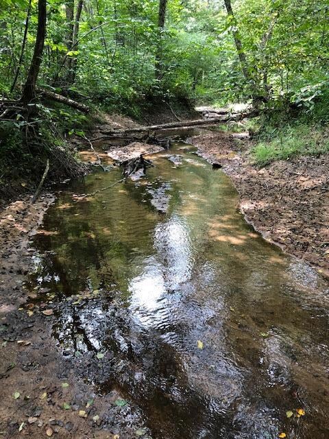 Shockhoe Creek