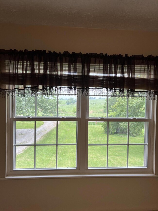 7042 Mount Gilead Rd, Maysville, KY 41056 - photo 4