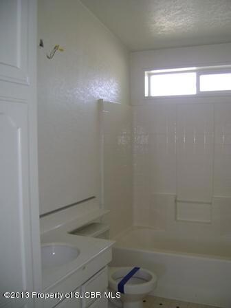Hall bathroom