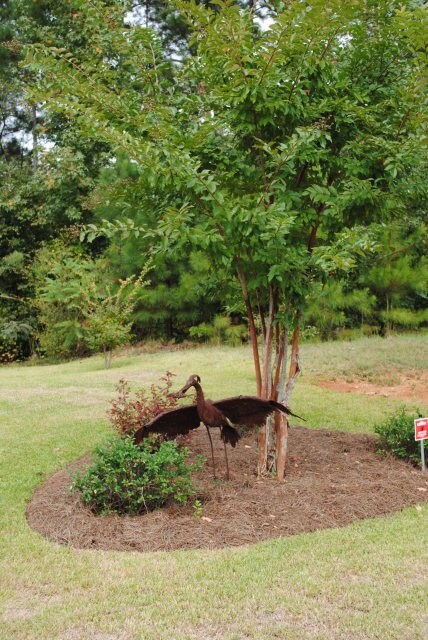 1068 Brookford Rd unit 16B, Macon, GA 31210 - photo 2