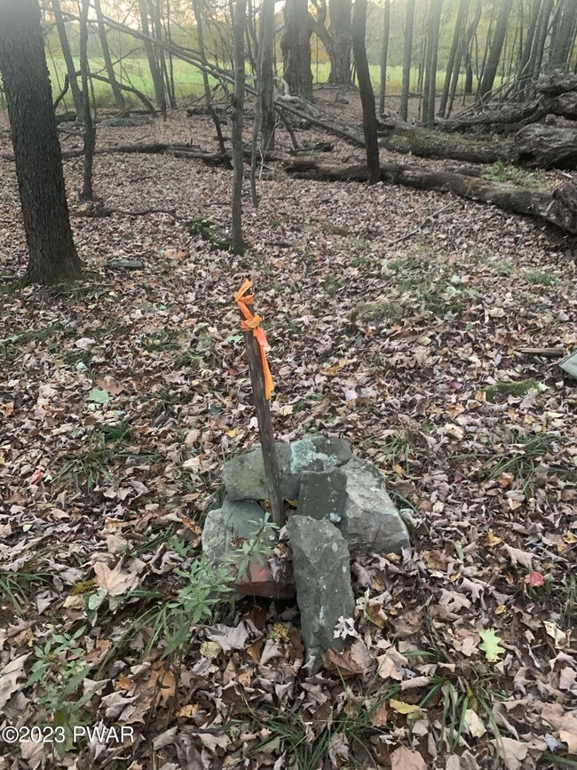 0 Rosengrant Rd, Lake Ariel, PA 18436 - photo 3