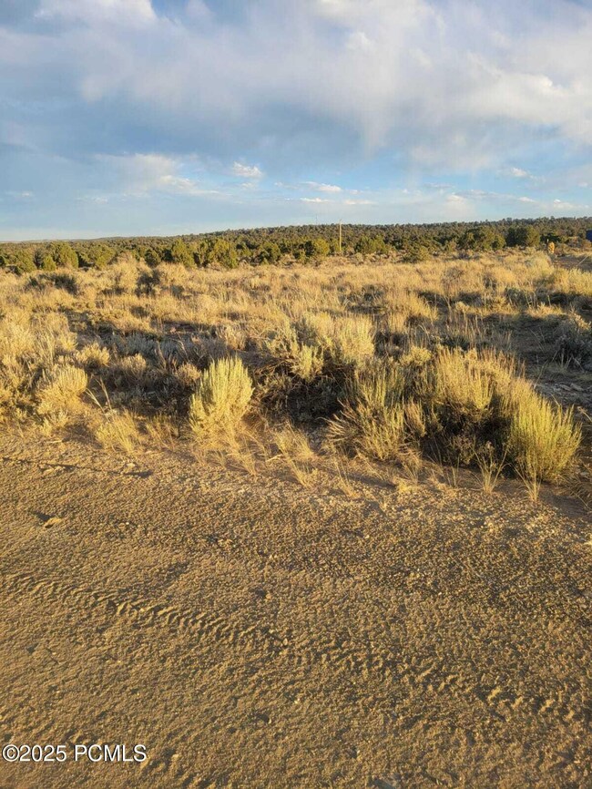 31565 W 8820 S unit 10A, Duchesne, UT 84021 - photo 4