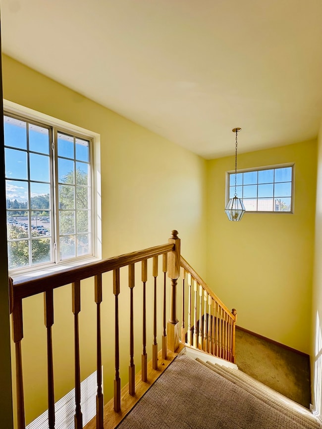 9499 Harrison St unit 671494, Des Plaines, IL 60016 - photo 5