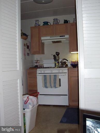 5703 Indian Ct unit 16, Alexandria, VA 22303 - photo 7