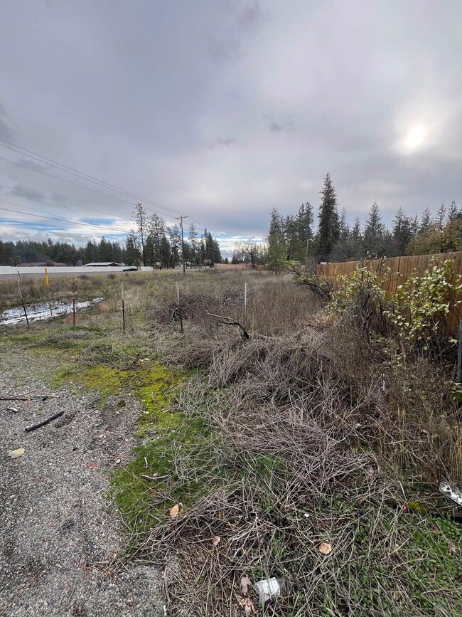 Xxx N Seven Mile Rd, Nine Mile Falls, WA 99026 - photo 2
