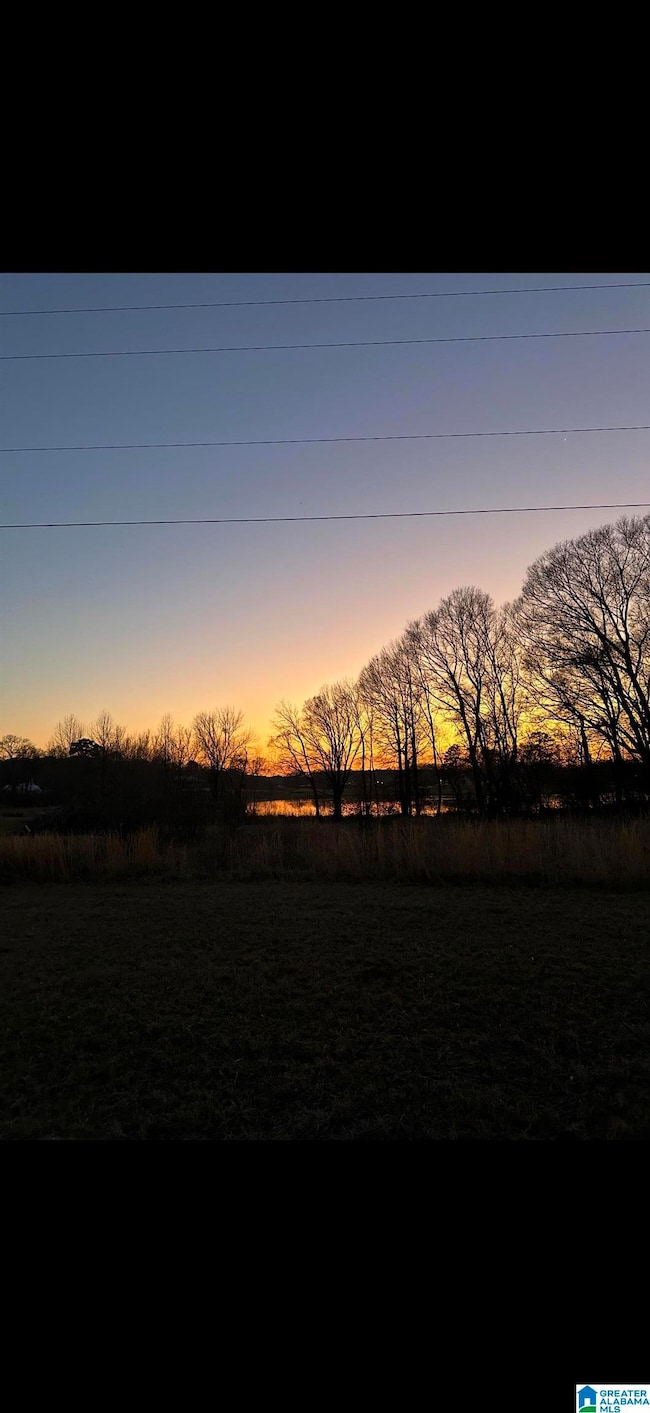 242 Lokey Dr, Wilsonville, AL 35186 - photo 4