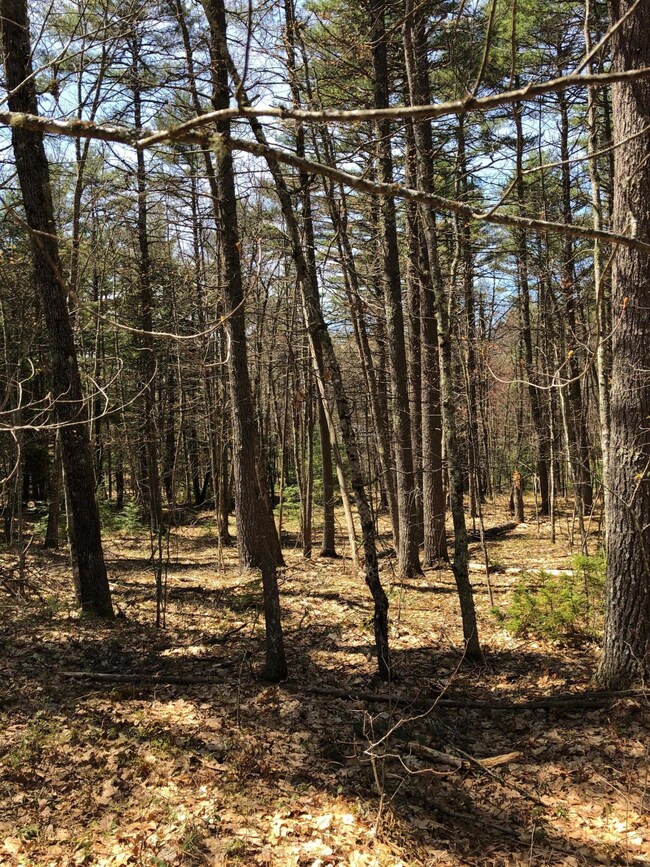 279 Overlook Cir, Lake Arrowhead, ME 04048 - photo 4