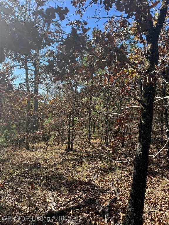 TBD S Booth Ave, Wister, OK 74966 - photo 7