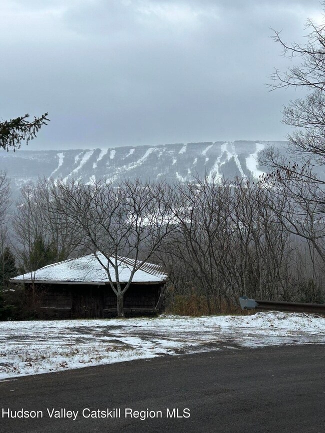 620 Mohican Trail, Pine Hill, NY 12441 - photo 6