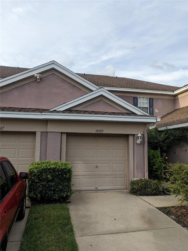 10005 Tranquility Way, Tampa, FL 33625 - photo 3