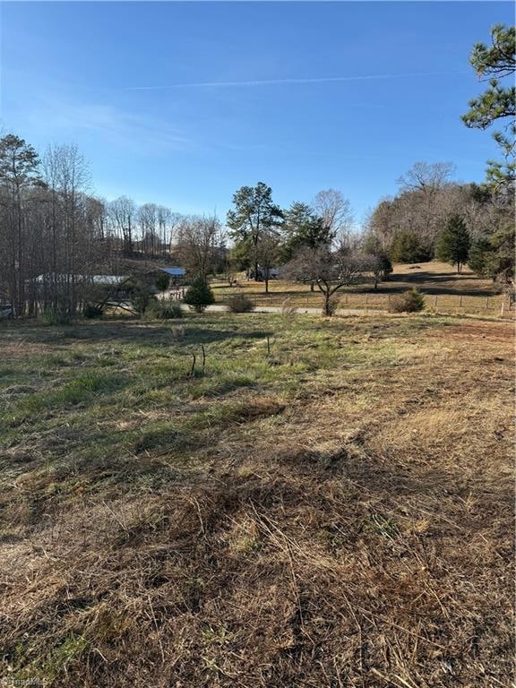 000 Mulberry Academy St, Franklinville, NC 27248 - photo 4