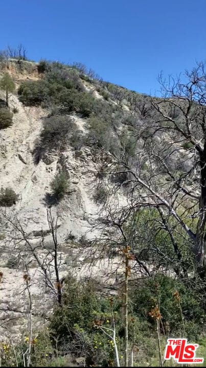 0 Pine Canyon Rd unit 25525357, Lake Hughes, CA 93532 - photo 3