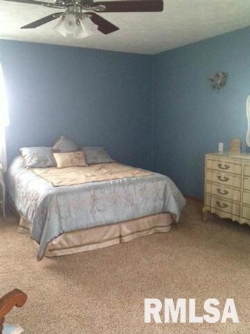 1210 Feldman Dr, Lincoln, IL 62656 - photo 6