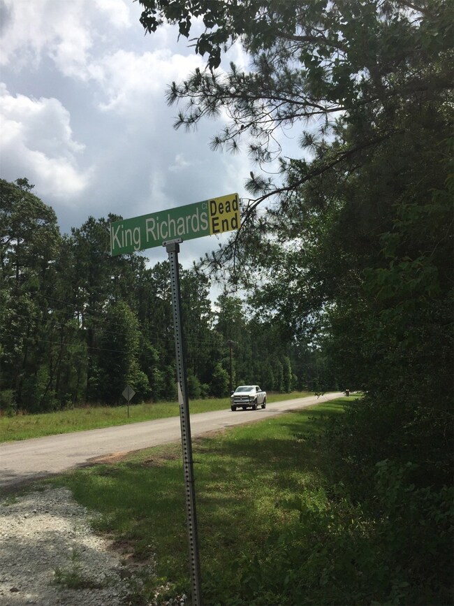 0 King Richards Ct unit 42822552, Hockley, TX 77447 - photo 2