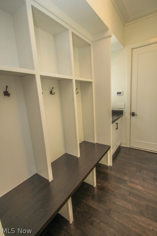 11329 Caves Rd, Chesterland, OH 44026 - photo 6