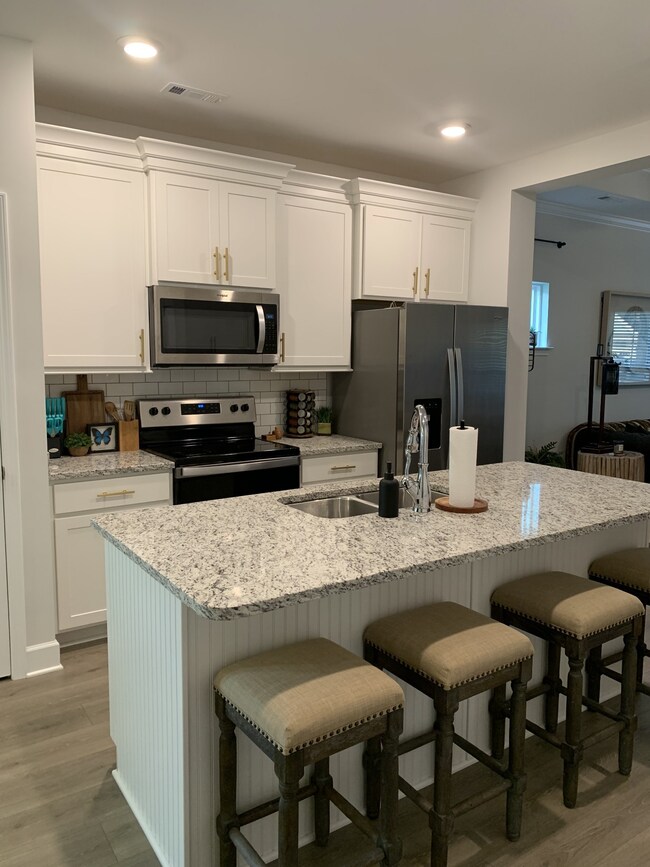 173 Mary Ann Cir, Spring Hill, TN 37174 - photo 6