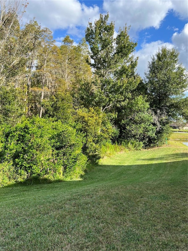 31215 Wrencrest Dr, Wesley Chapel, FL 33543 - photo 4