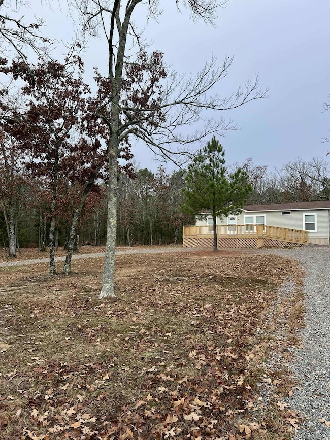 100 Seay Ln, Mena, AR 71953 - photo 2