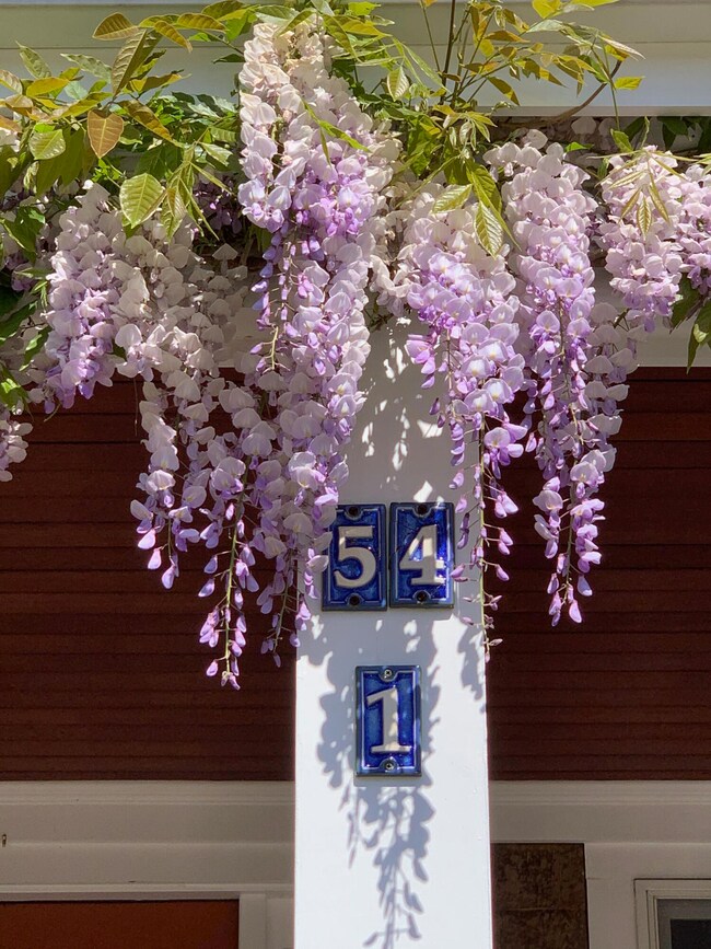 54 Harry Kemp Way unit 1, Provincetown, MA 02657 - photo 5