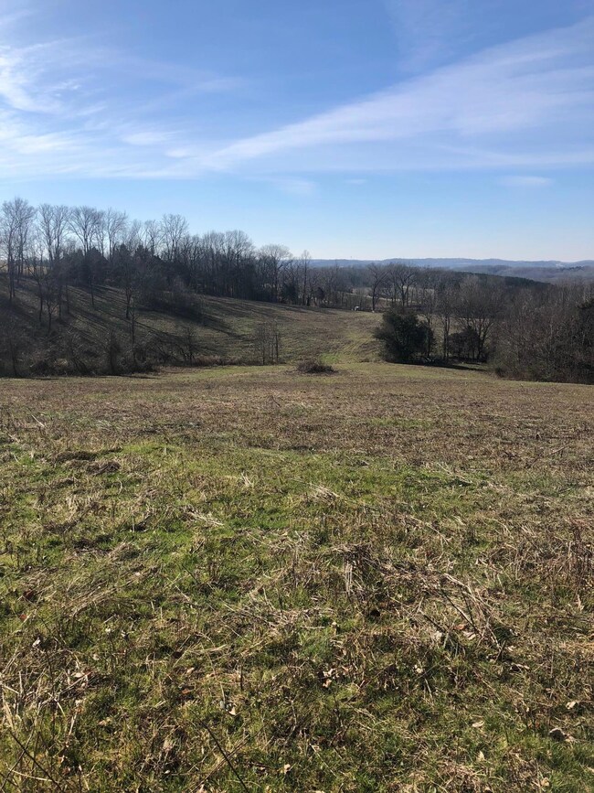 0 Cy Thomas Rd unit 2001897, Shelbyville, TN 37160 - photo 2