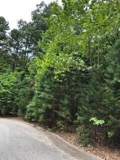 Lot 13 Bonnie Cir, Bella Vista, AR 72714 - photo 4