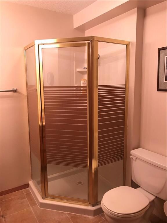 Lower Level Bathroom