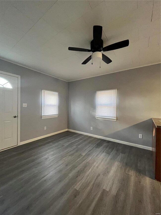 8 N Edison St, Freeburg, IL 62243 - photo 2