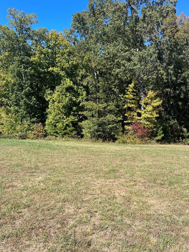 Lot 103 Southern Shore Point, Huntingdon, TN 38344 - photo 4