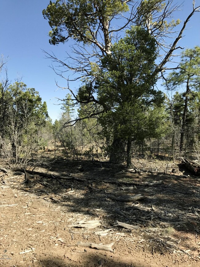 5983 LUMINARY Way, Lakeside, AZ 85929