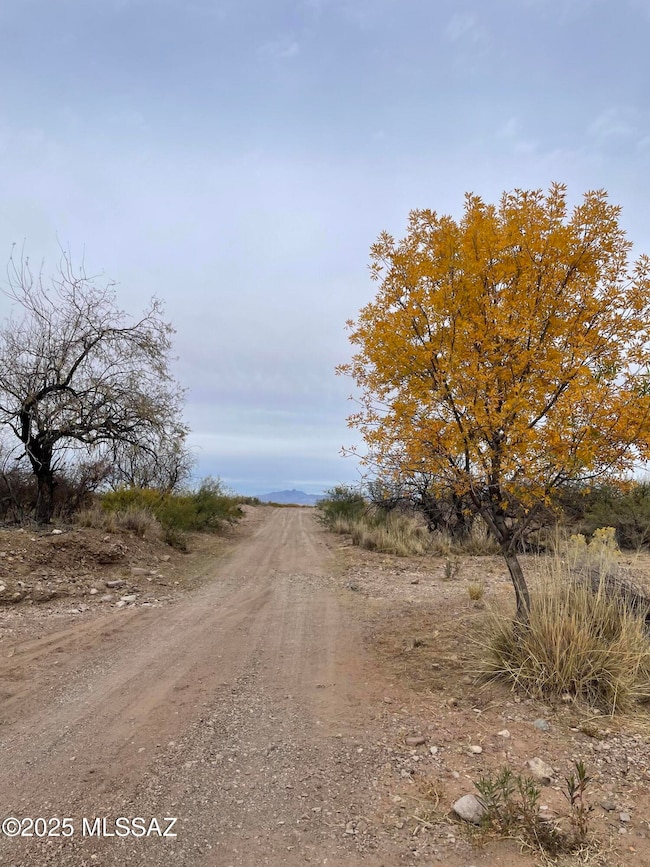 Camino 1 (2)