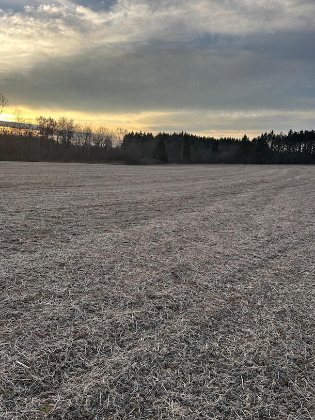 Lot 1 Pierce County Road B, Woodville, WI 54028 - photo 3